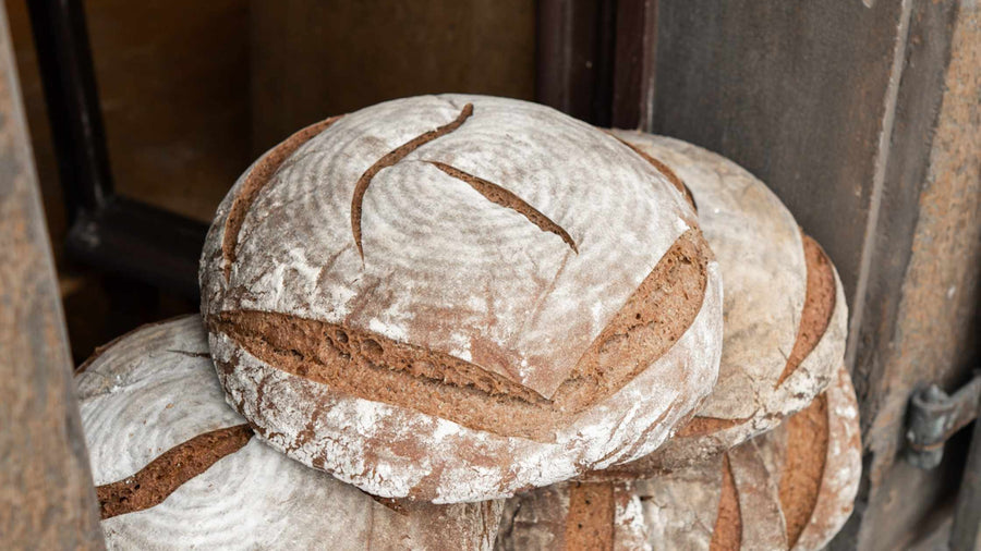 Große Handwerksbrote mit eingeschnittenem Terjung T als Beispiel für Brotvergleich