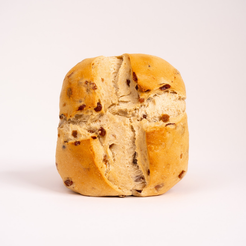 Einzelner Rosinenstuten steht mit weißem Hintergrund