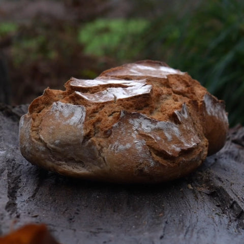 Jaeger-Pilzbrot mit Hintergrund im Wald